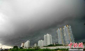 中国台风最新爆料新闻,多路径影响沿海地区，防御措施升级中”